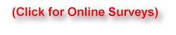 Online Surveys